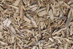biomass boilers Heathstock